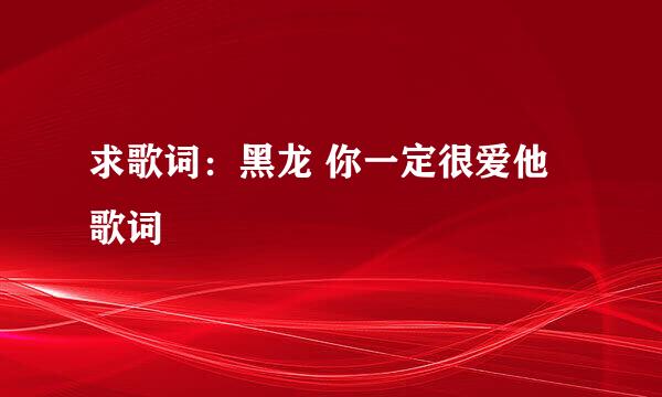 求歌词：黑龙 你一定很爱他 歌词