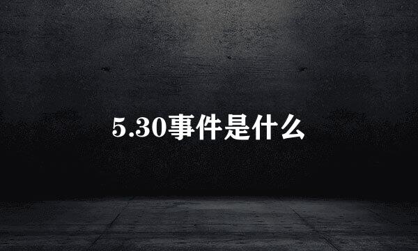 5.30事件是什么