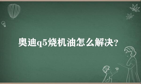 奥迪q5烧机油怎么解决？