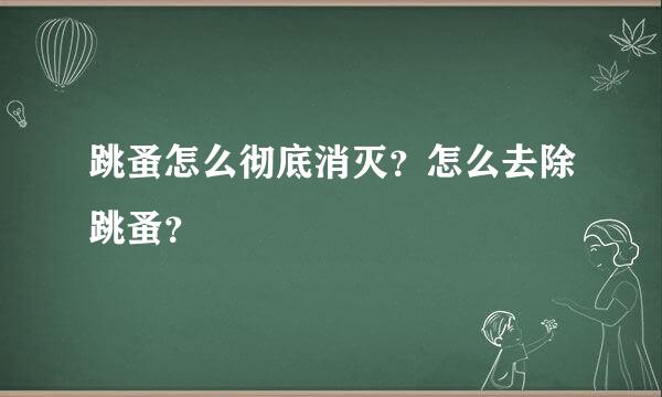 跳蚤怎么彻底消灭？怎么去除跳蚤？