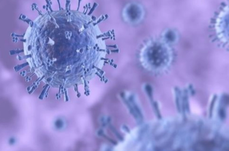 日本发现能传染人类新病毒“Yezo病毒”，这是种什么样的病毒？