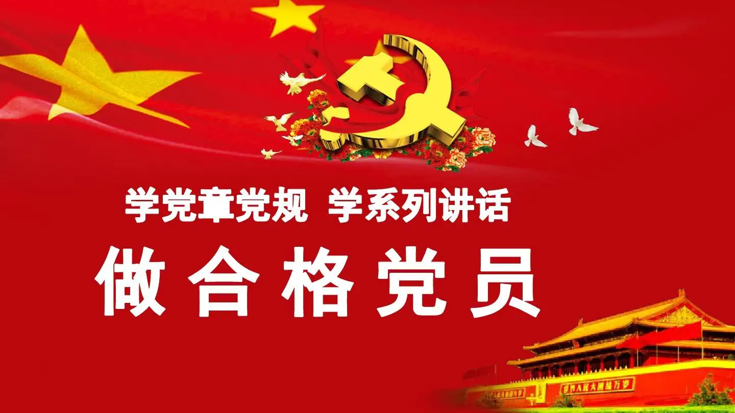 合格党员标准是