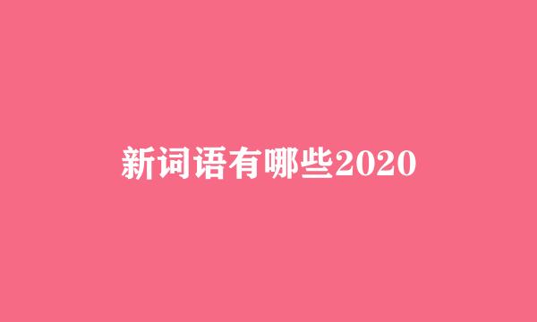 新词语有哪些2020