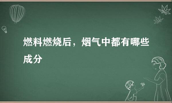 燃料燃烧后，烟气中都有哪些成分