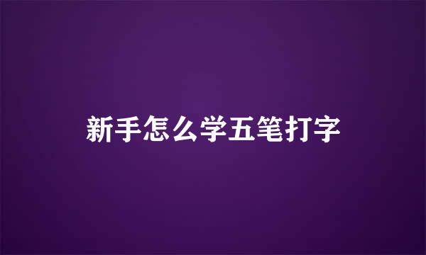 新手怎么学五笔打字