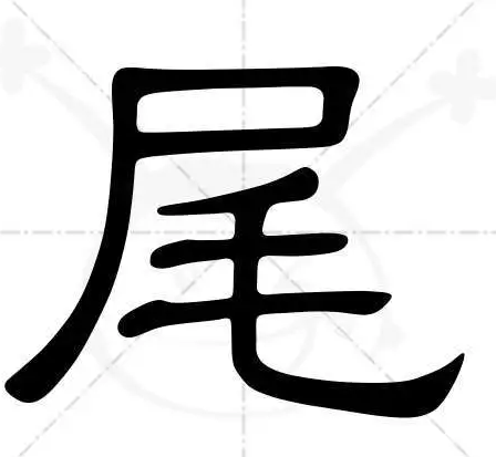 尾字笔顺