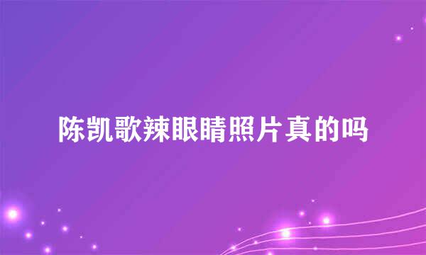 陈凯歌辣眼睛照片真的吗