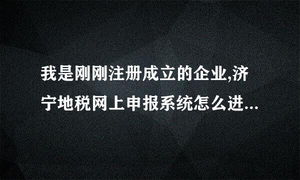 我是刚刚注册成立的企业,济宁地税网上申报系统怎么进,密码是有初始密码吗?初始密