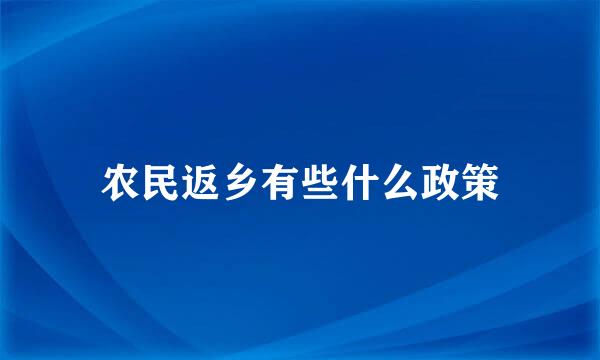 农民返乡有些什么政策