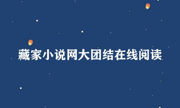 藏家小说网大团结在线阅读