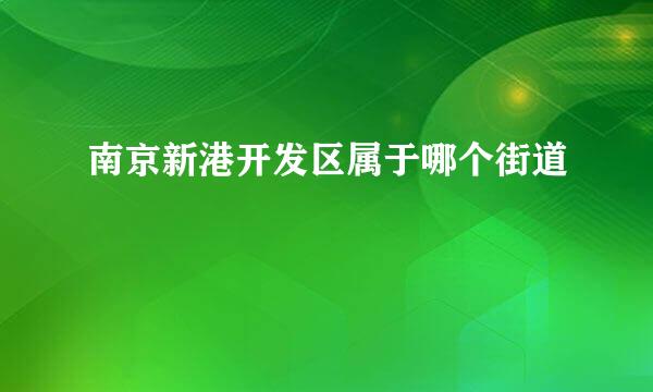 南京新港开发区属于哪个街道