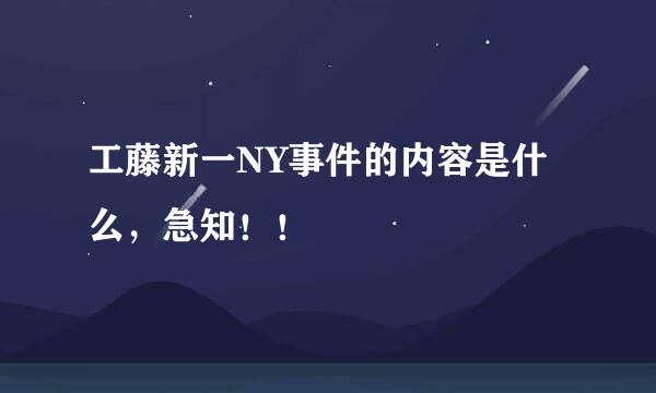 工藤新一NY事件的内容是什么，急知！！