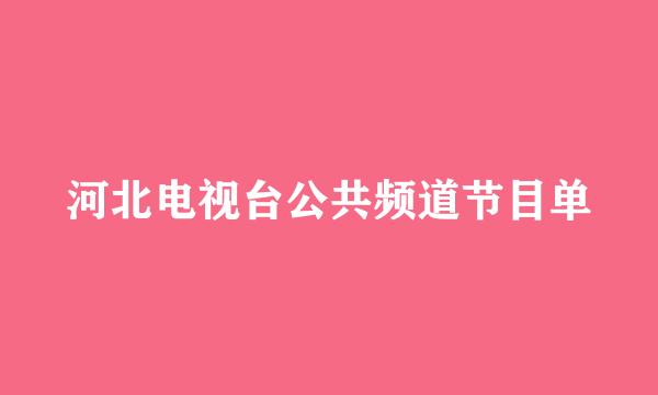 河北电视台公共频道节目单