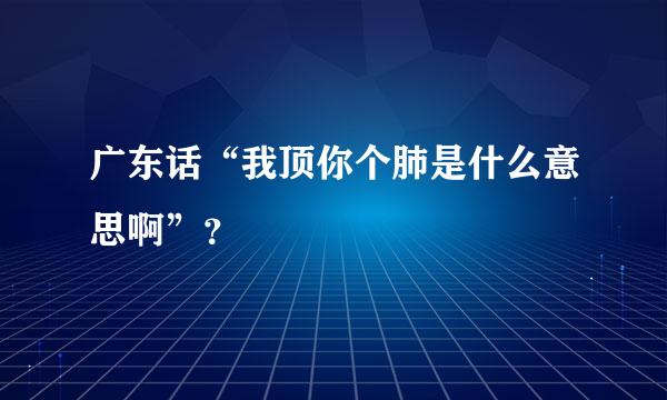 广东话“我顶你个肺是什么意思啊”？