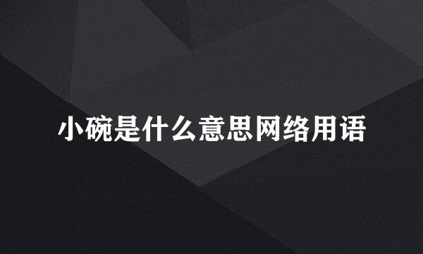 小碗是什么意思网络用语