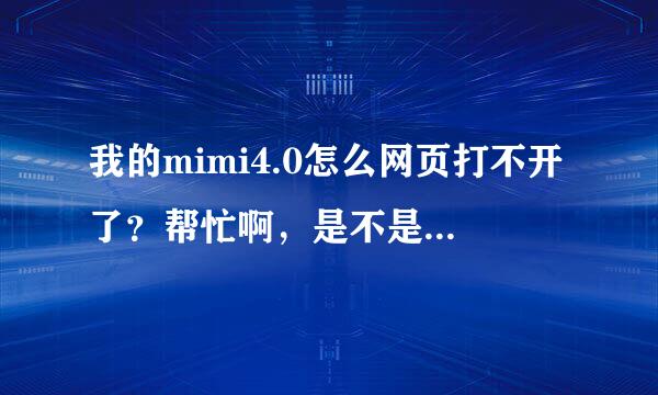 我的mimi4.0怎么网页打不开了？帮忙啊，是不是与升级了。你们懂的....