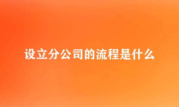 设立分公司的流程是什么