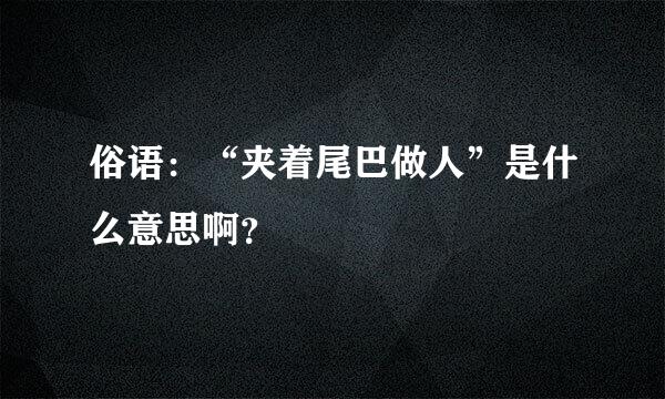 俗语：“夹着尾巴做人”是什么意思啊？