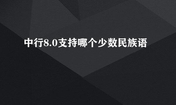 中行8.0支持哪个少数民族语