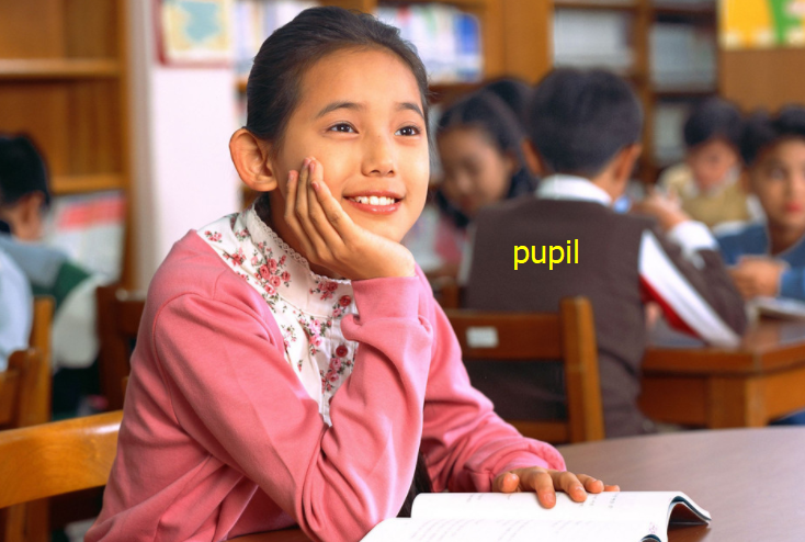 英语单词pupil怎么读