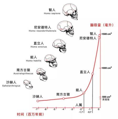 地球上本没有人，第一个人是怎么出现的？第一个人是男是女？