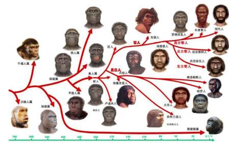 地球上本没有人，第一个人是怎么出现的？第一个人是男是女？