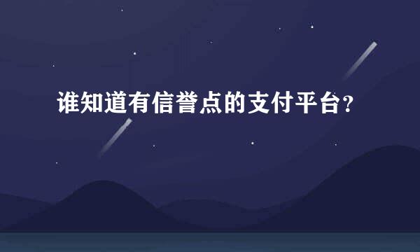 谁知道有信誉点的支付平台？