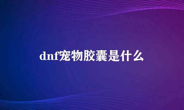 dnf宠物胶囊是什么