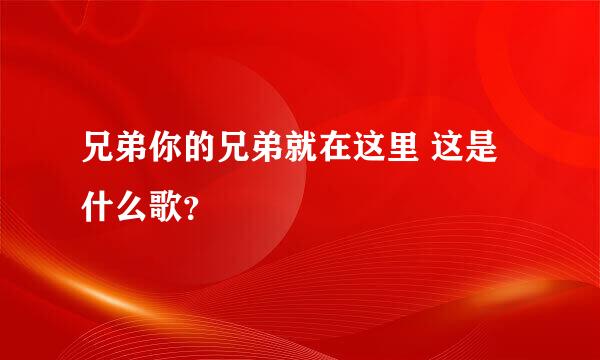 兄弟你的兄弟就在这里 这是什么歌？