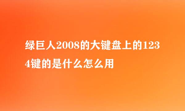 绿巨人2008的大键盘上的1234键的是什么怎么用