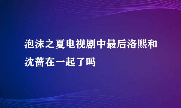 泡沫之夏电视剧中最后洛熙和沈蔷在一起了吗