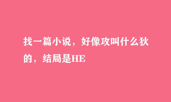 找一篇小说，好像攻叫什么狄的，结局是HE