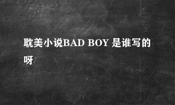 耽美小说BAD BOY 是谁写的呀