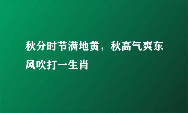 秋分时节满地黄，秋高气爽东风吹打一生肖