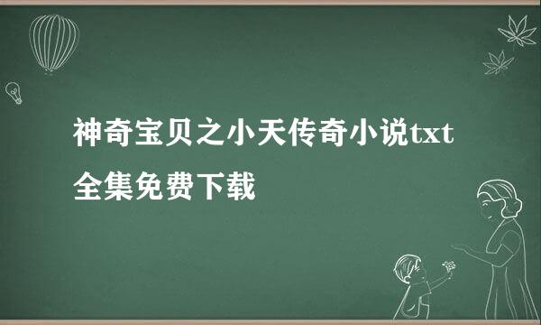 神奇宝贝之小天传奇小说txt全集免费下载