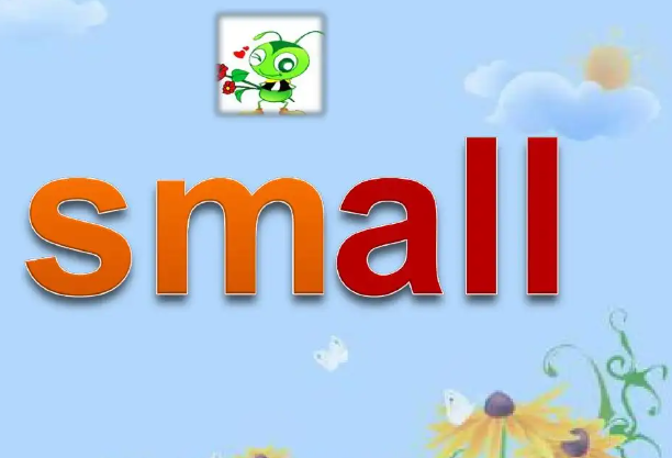 small什么意思