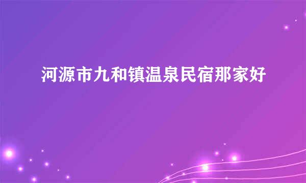 河源市九和镇温泉民宿那家好