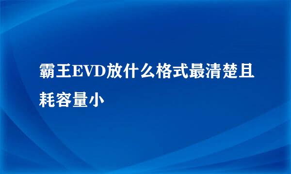 霸王EVD放什么格式最清楚且耗容量小