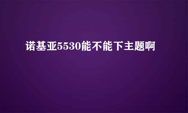 诺基亚5530能不能下主题啊