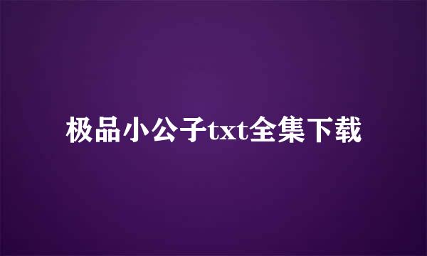 极品小公子txt全集下载