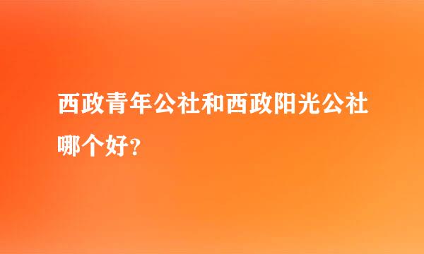 西政青年公社和西政阳光公社哪个好？