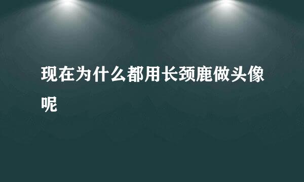 现在为什么都用长颈鹿做头像呢