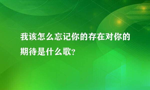 我该怎么忘记你的存在对你的期待是什么歌？