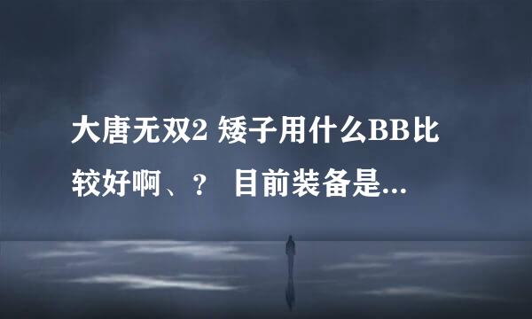 大唐无双2 矮子用什么BB比较好啊、？ 目前装备是至尊 护心 4珠 想卡59级 求大侠指导