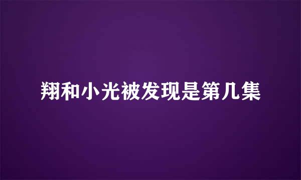 翔和小光被发现是第几集