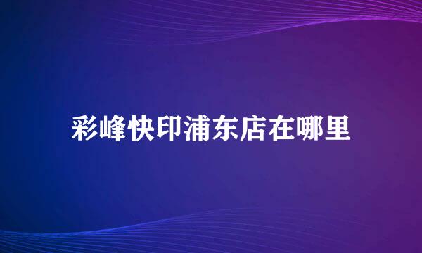 彩峰快印浦东店在哪里