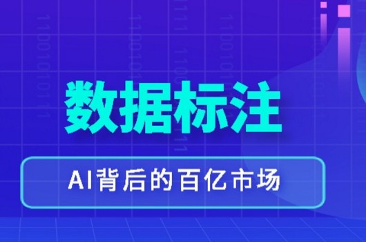 数据标注众包平台哪个最挣钱