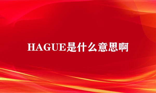 HAGUE是什么意思啊