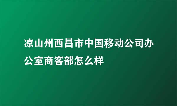 凉山州西昌市中国移动公司办公室商客部怎么样