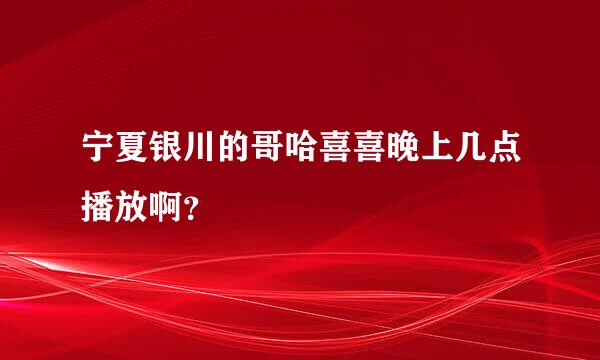 宁夏银川的哥哈喜喜晚上几点播放啊？